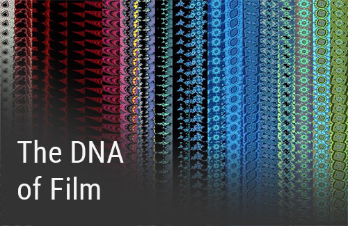 The DNA of Film - BURKHARD PHILIPP VON HARDER, Untitled film scrolls